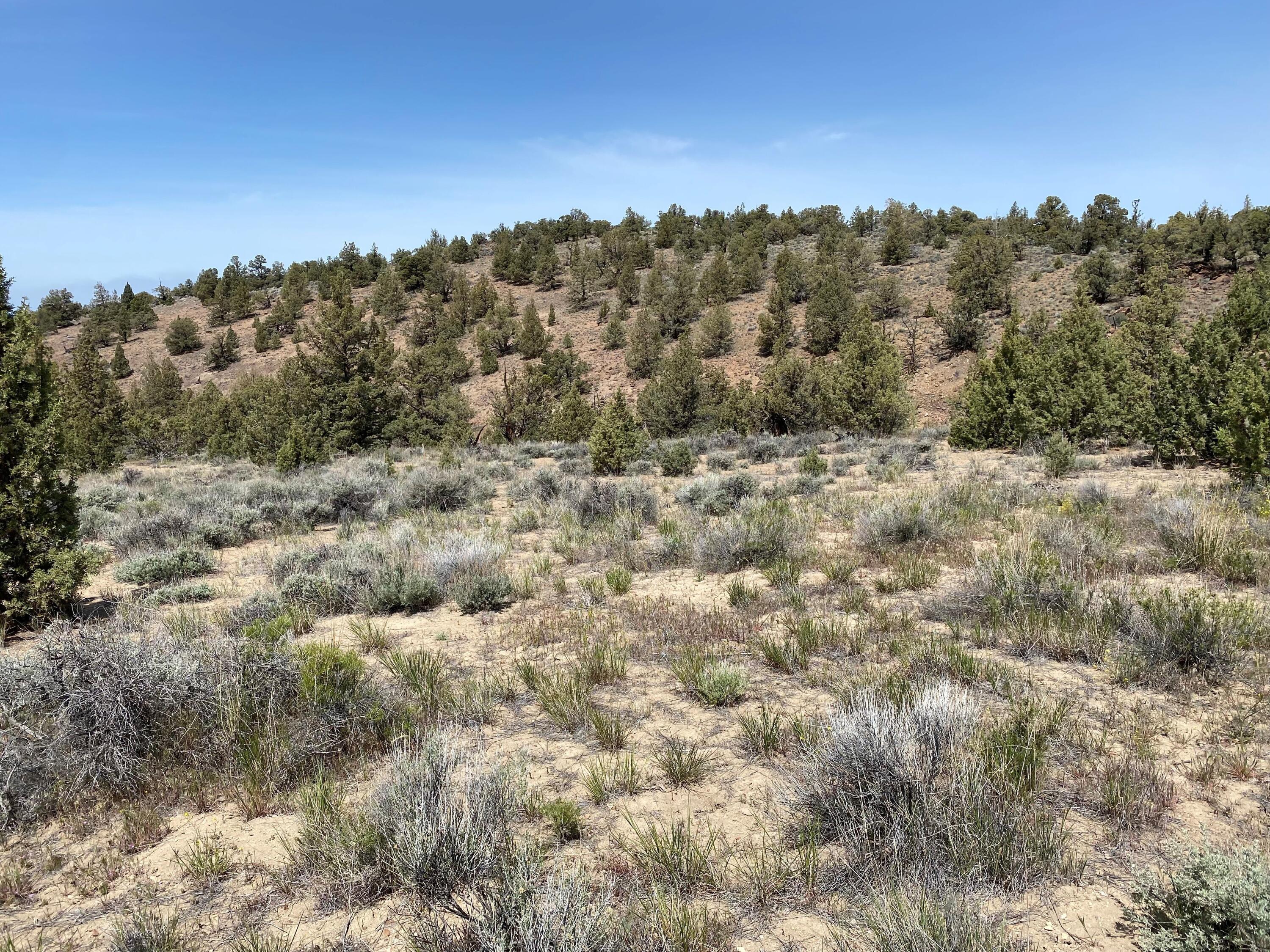 16621 Lot 699 SW Pinnacle Court