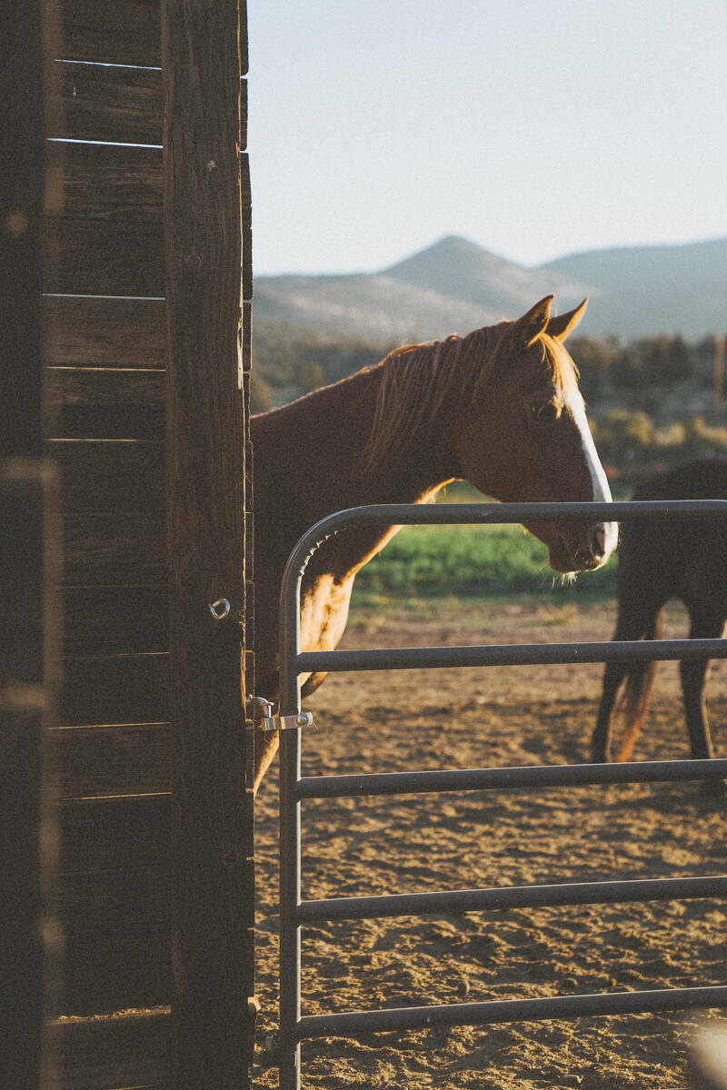 Lot 89 SW Caballo Court