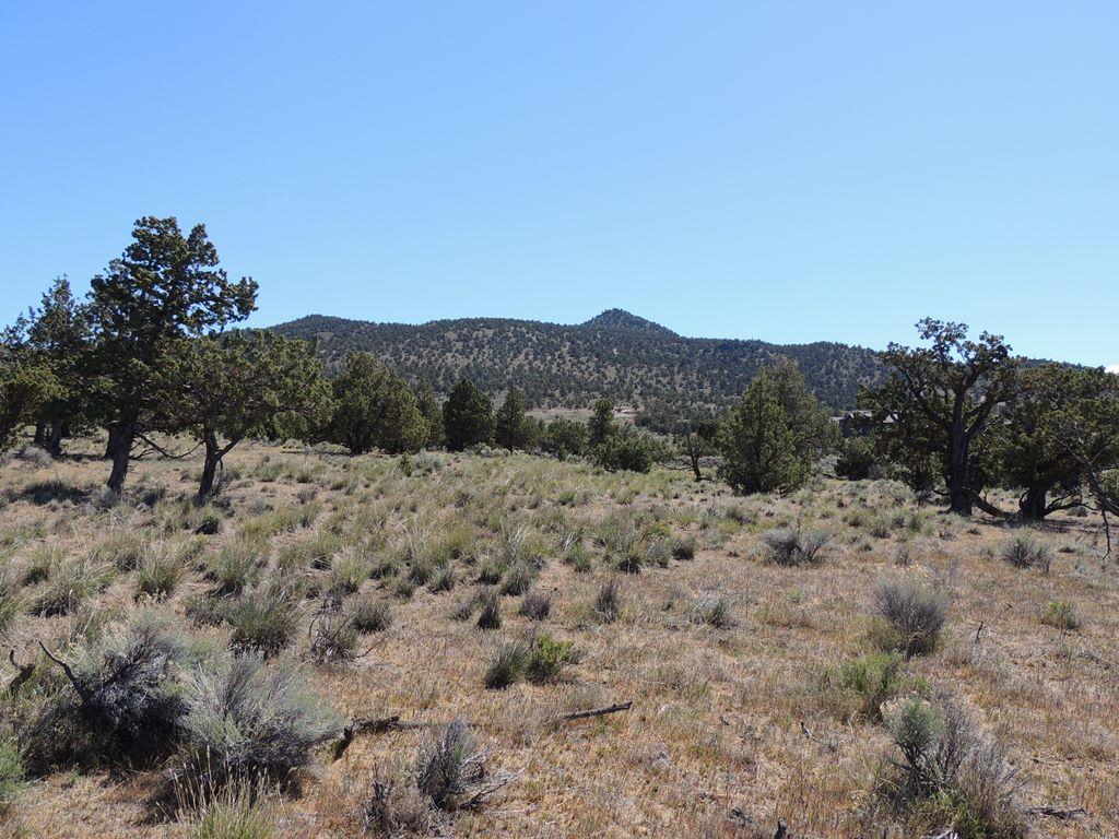 SW Brasada Ranch Road, Lot 309