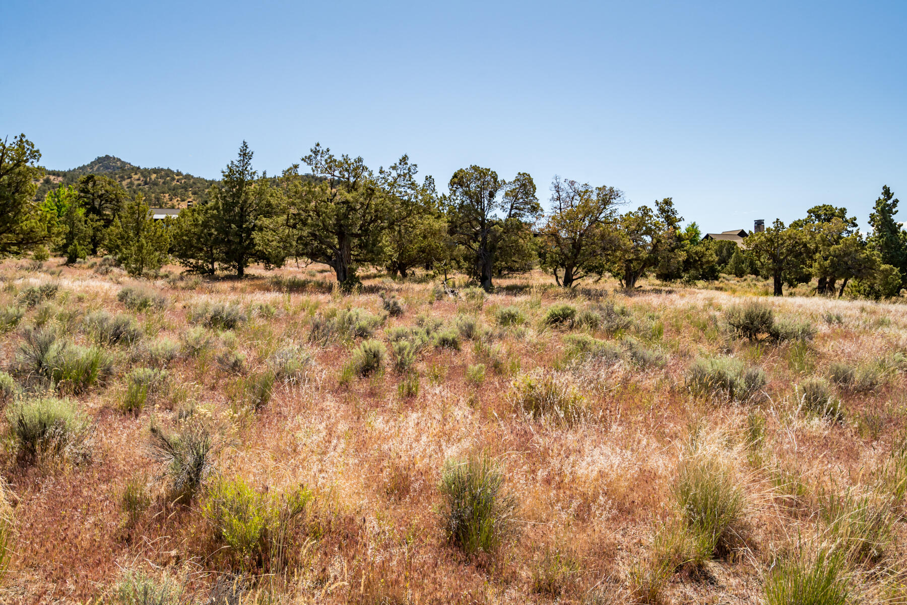 Lot 141 SW Brasada Ranch Road