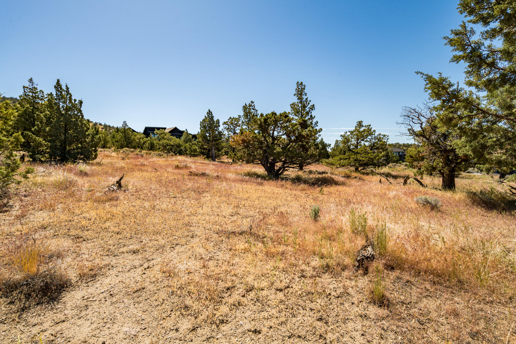 Lot 141 SW Brasada Ranch Road