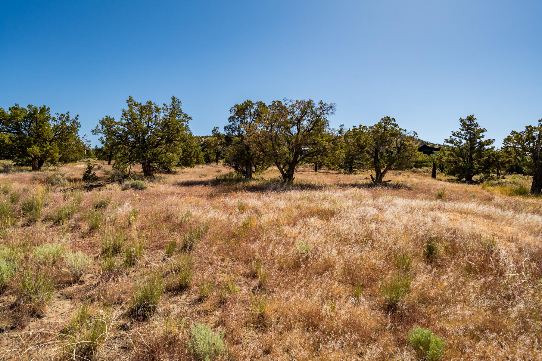 Lot 141 SW Brasada Ranch Road