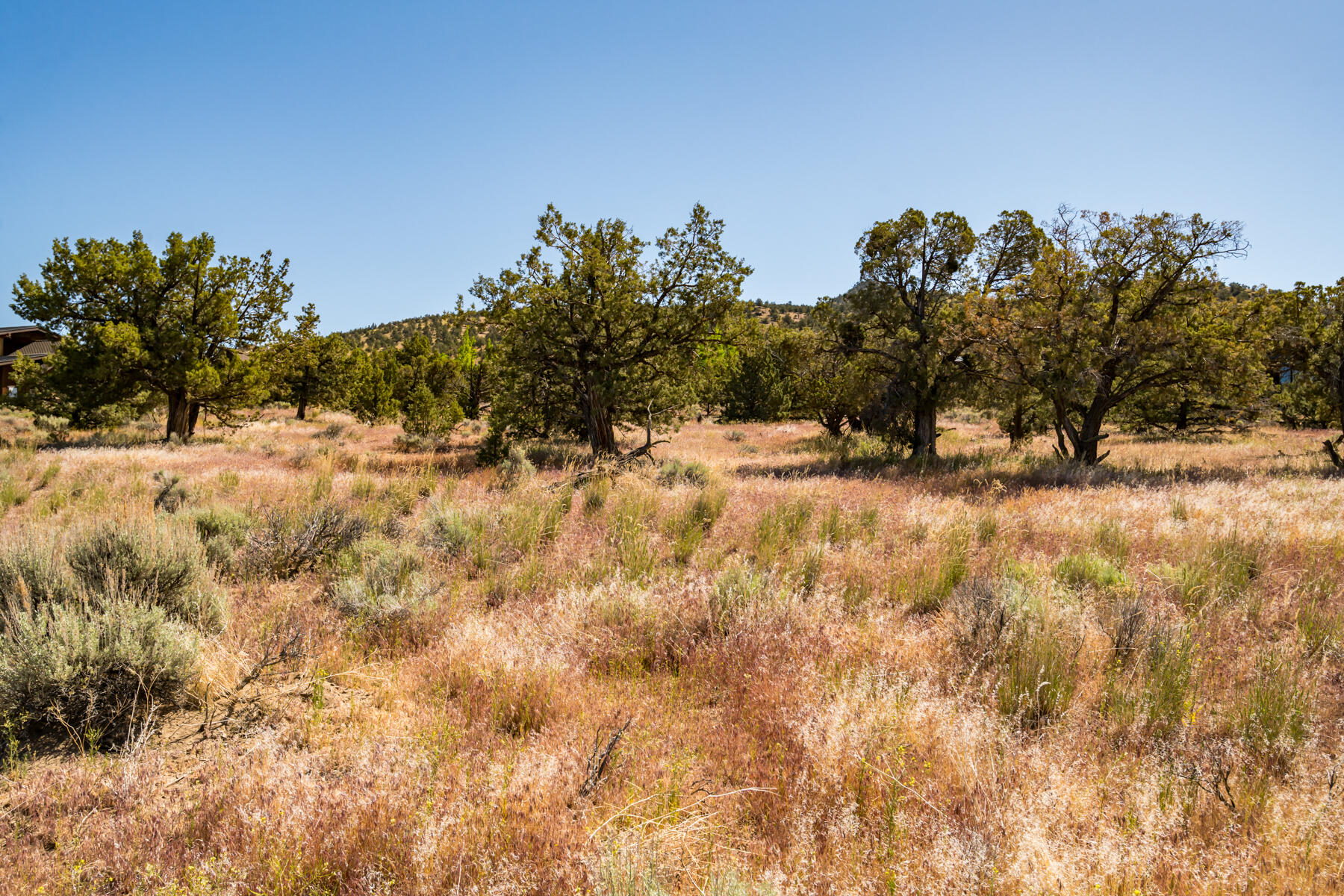 Lot 141 SW Brasada Ranch Road