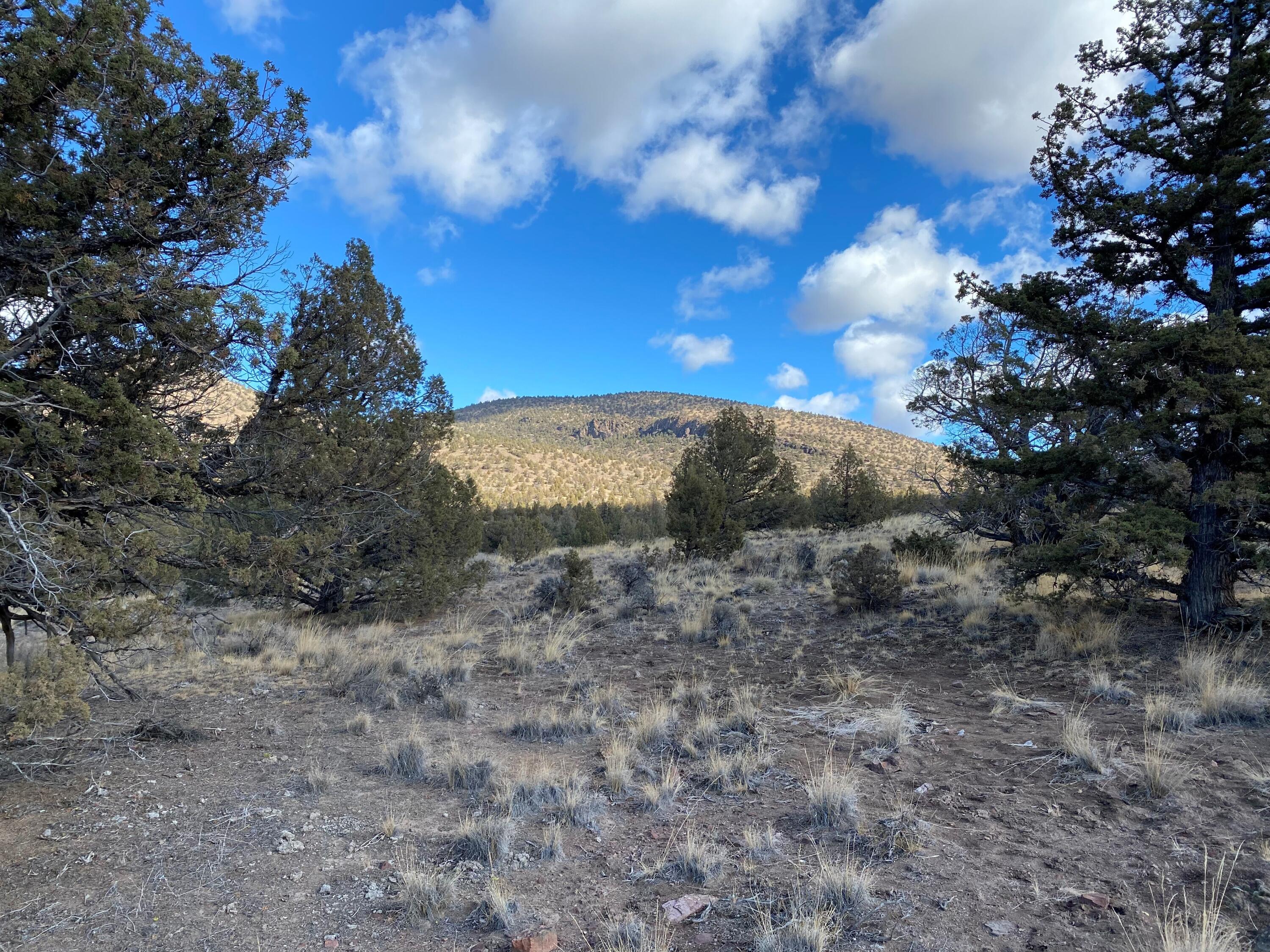 Lot 781 SW Spirit Rock Drive