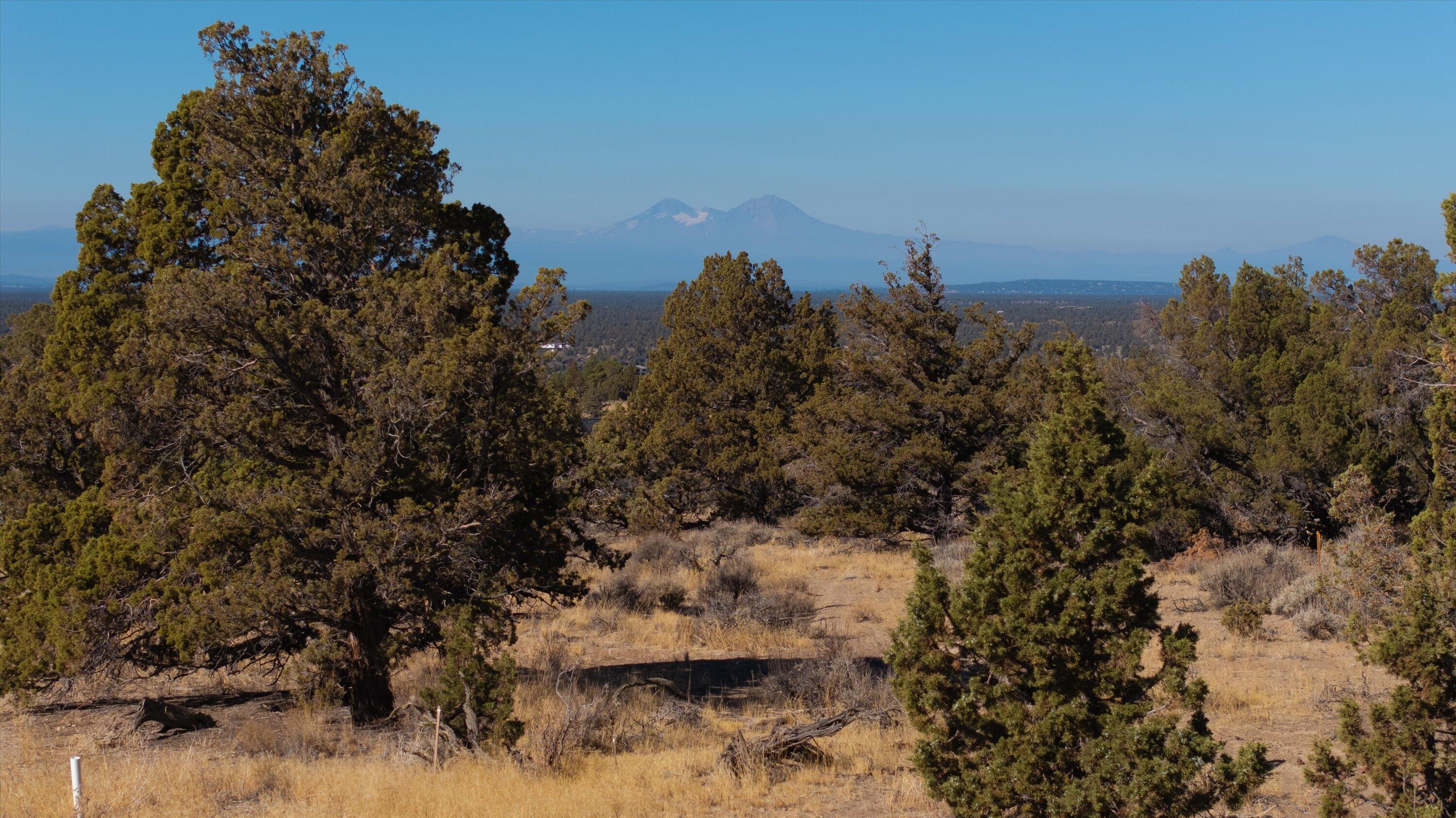 Paragon Court, Homesite 732