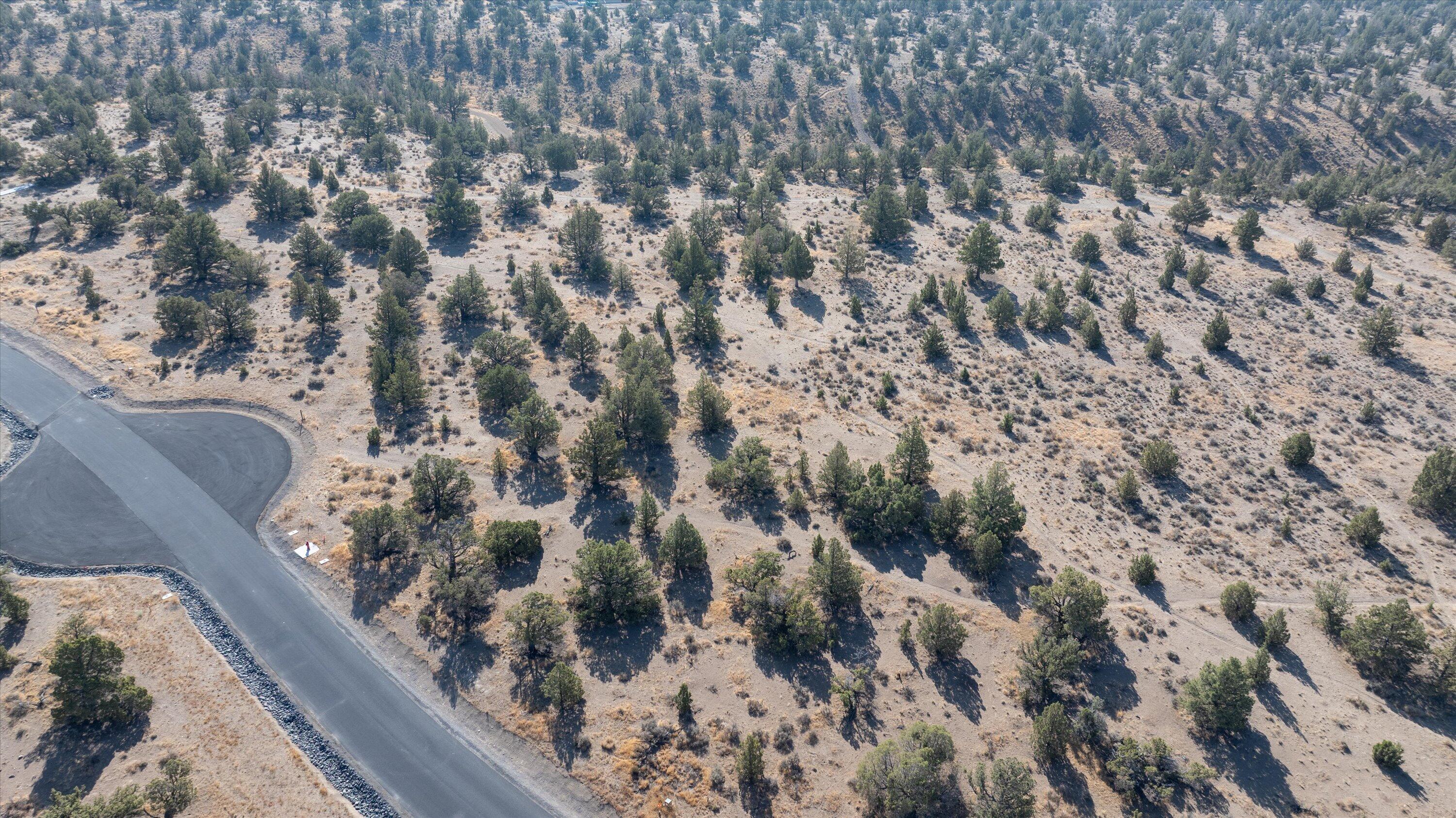 Paragon Court, Homesite 741