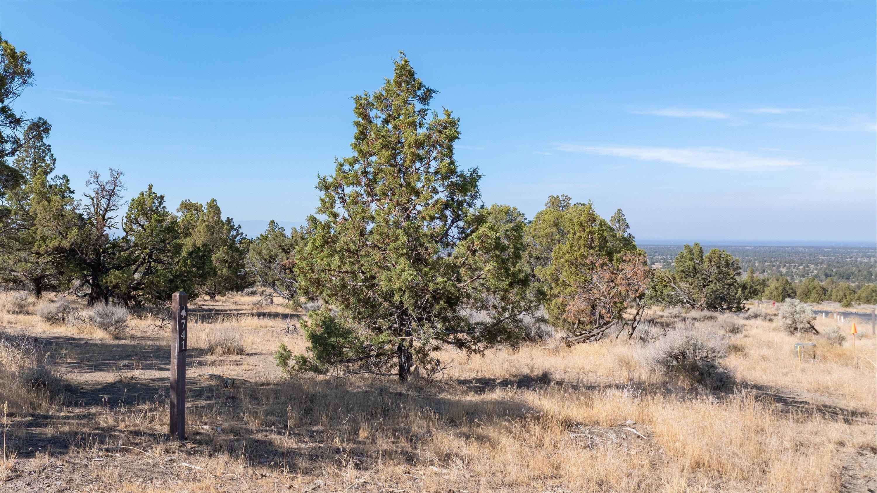 Paragon Court, Homesite 741