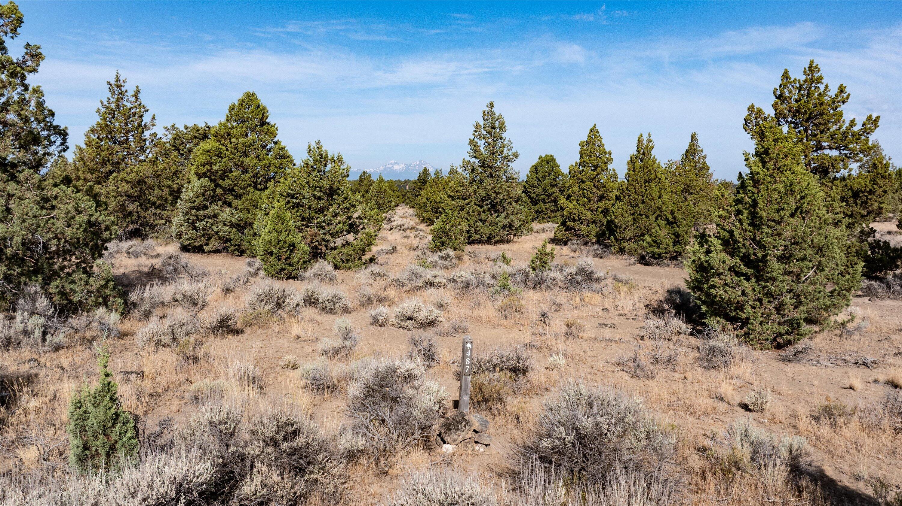 Chaparral Drive, Homesite 487