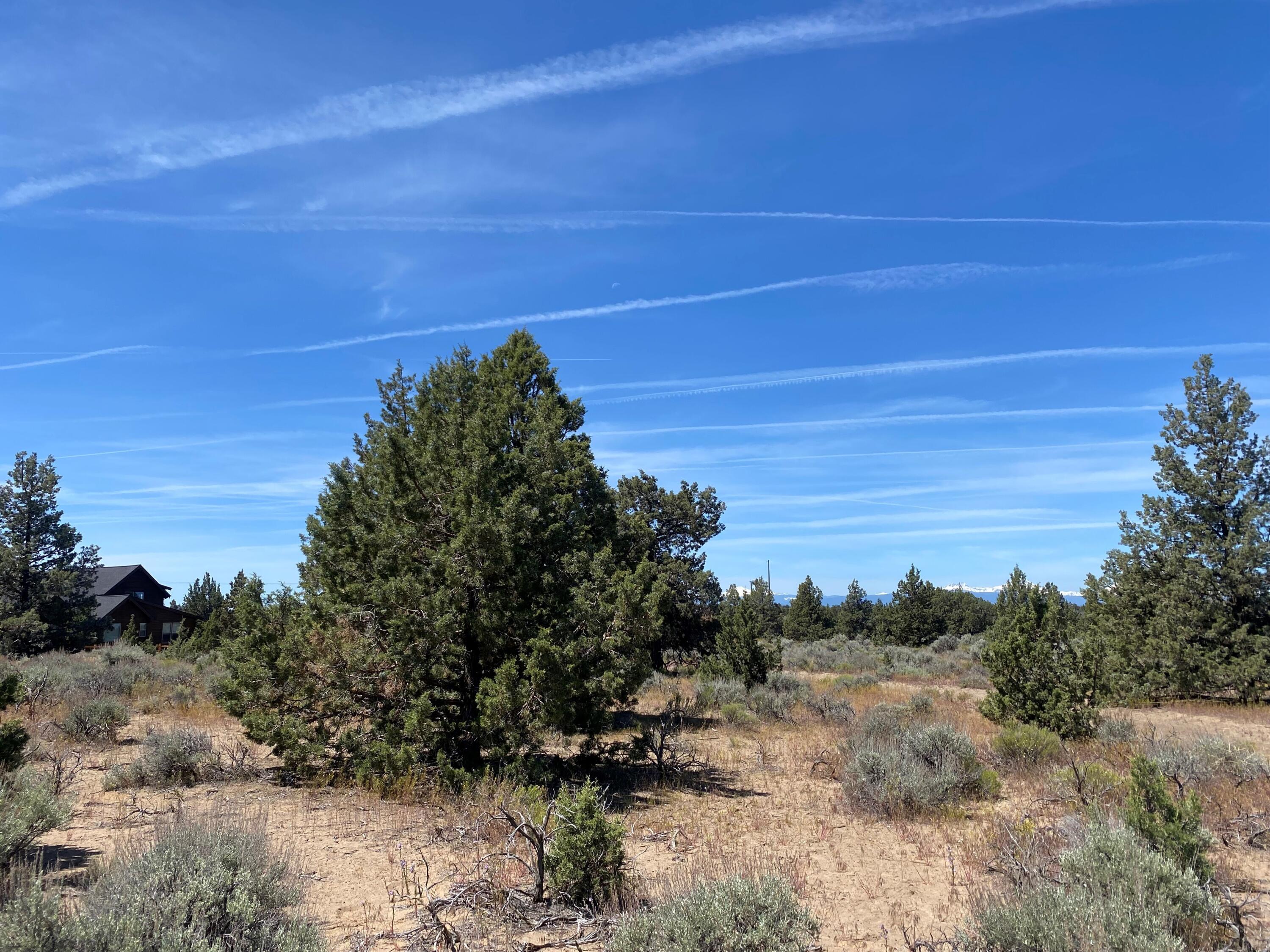 Chaparral Drive, Homesite 487