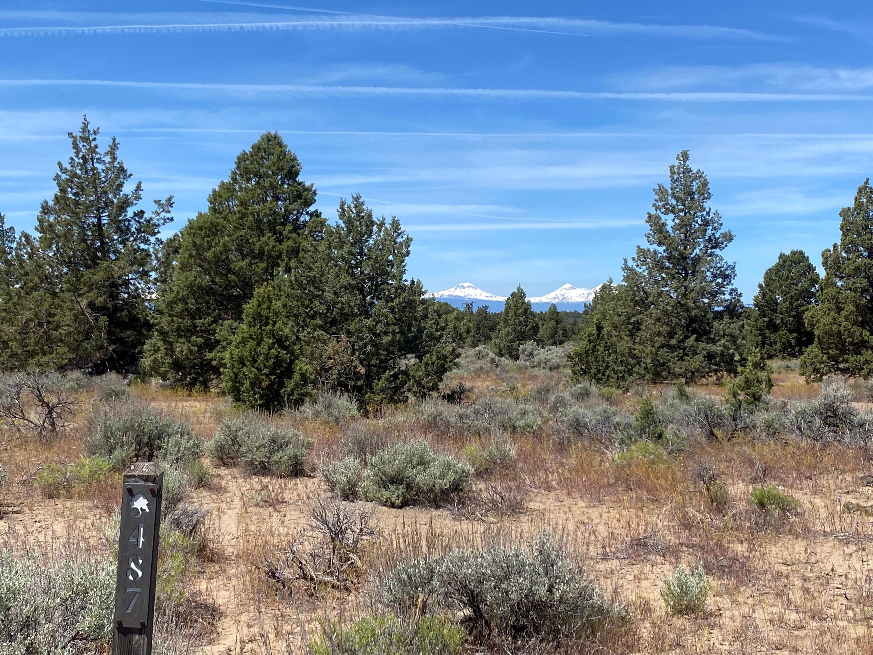 Chaparral Drive, Homesite 487