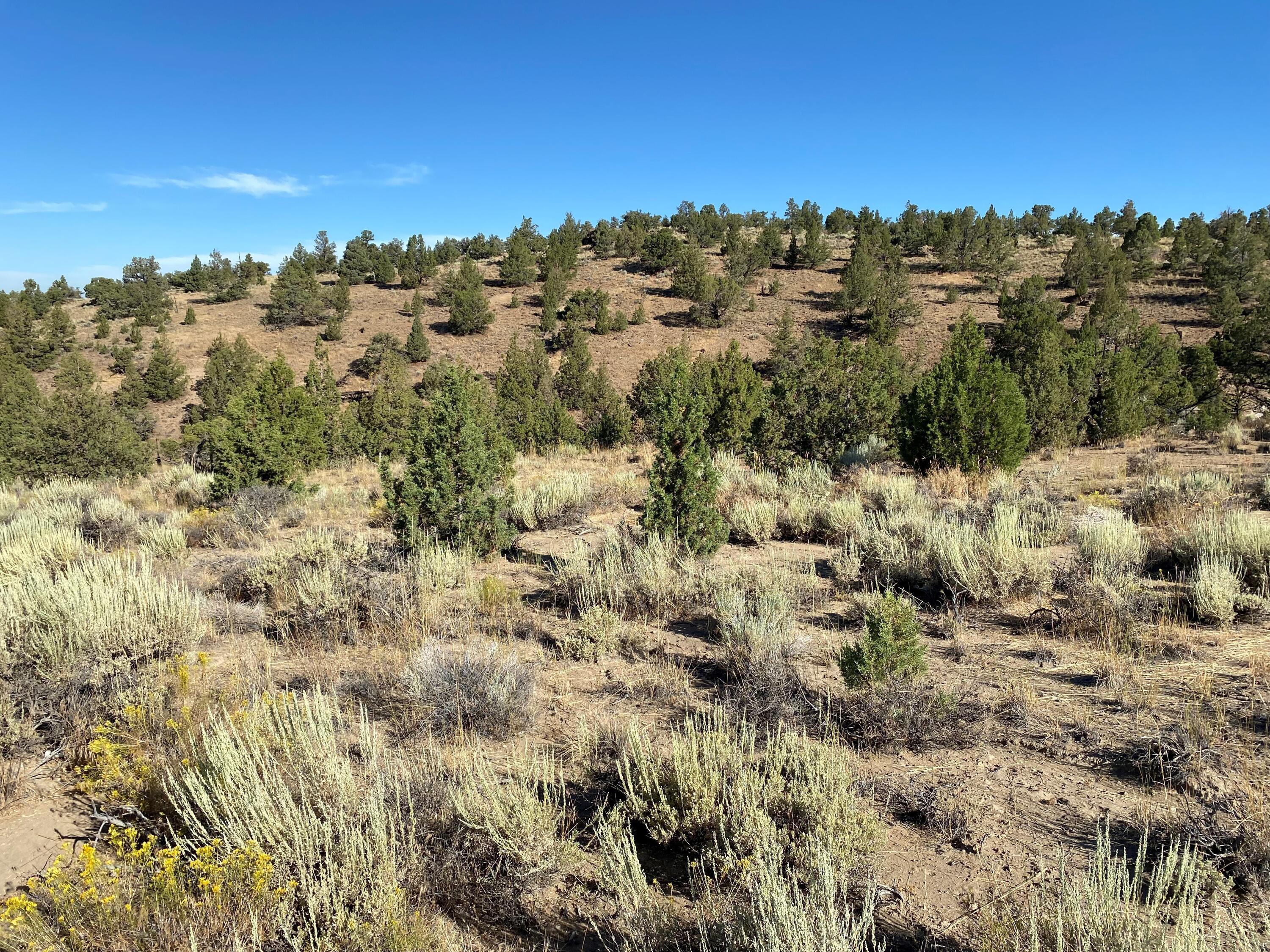 SW Pinnacle Court, Homesite 701