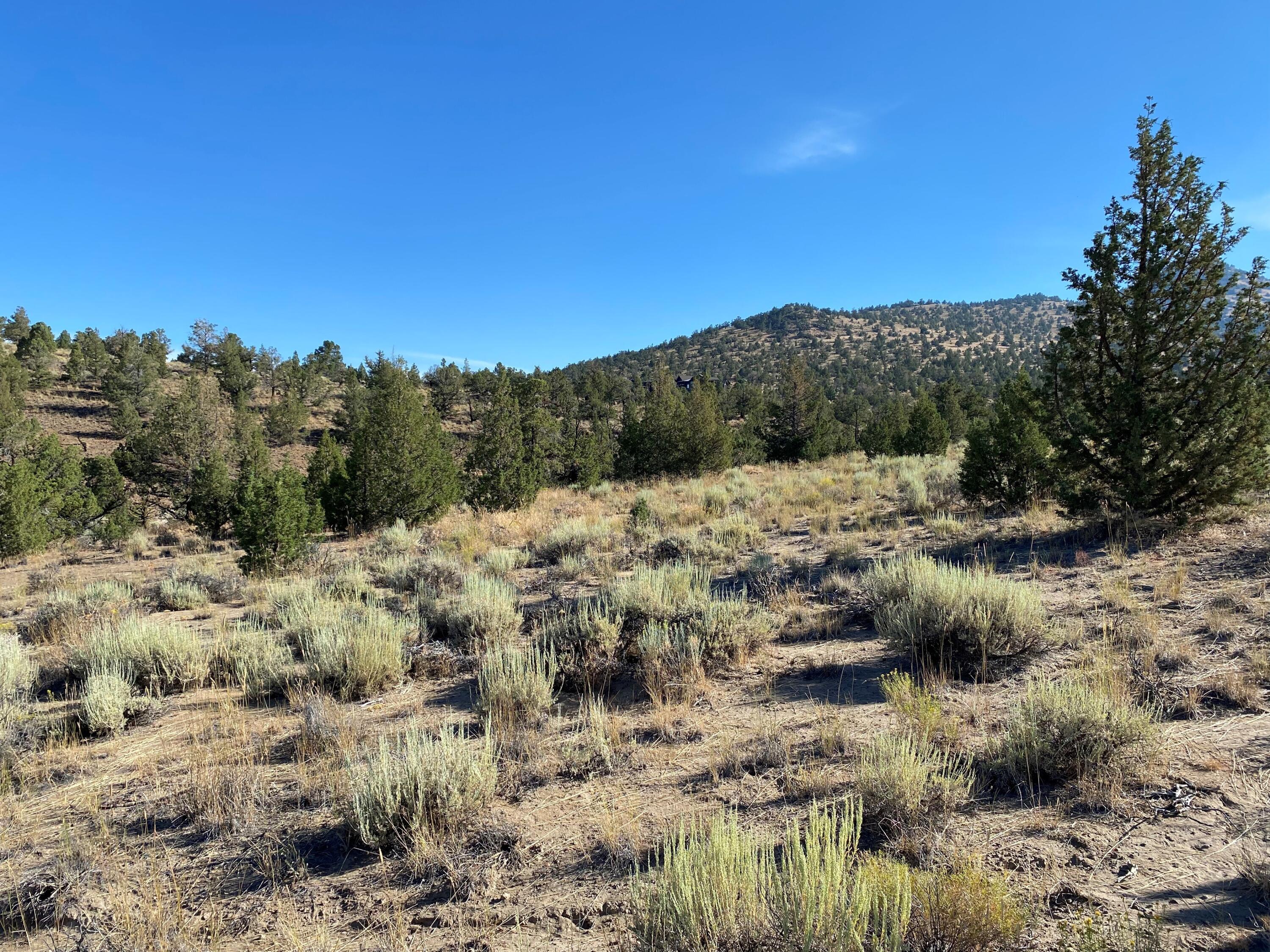 SW Pinnacle Court, Homesite 701