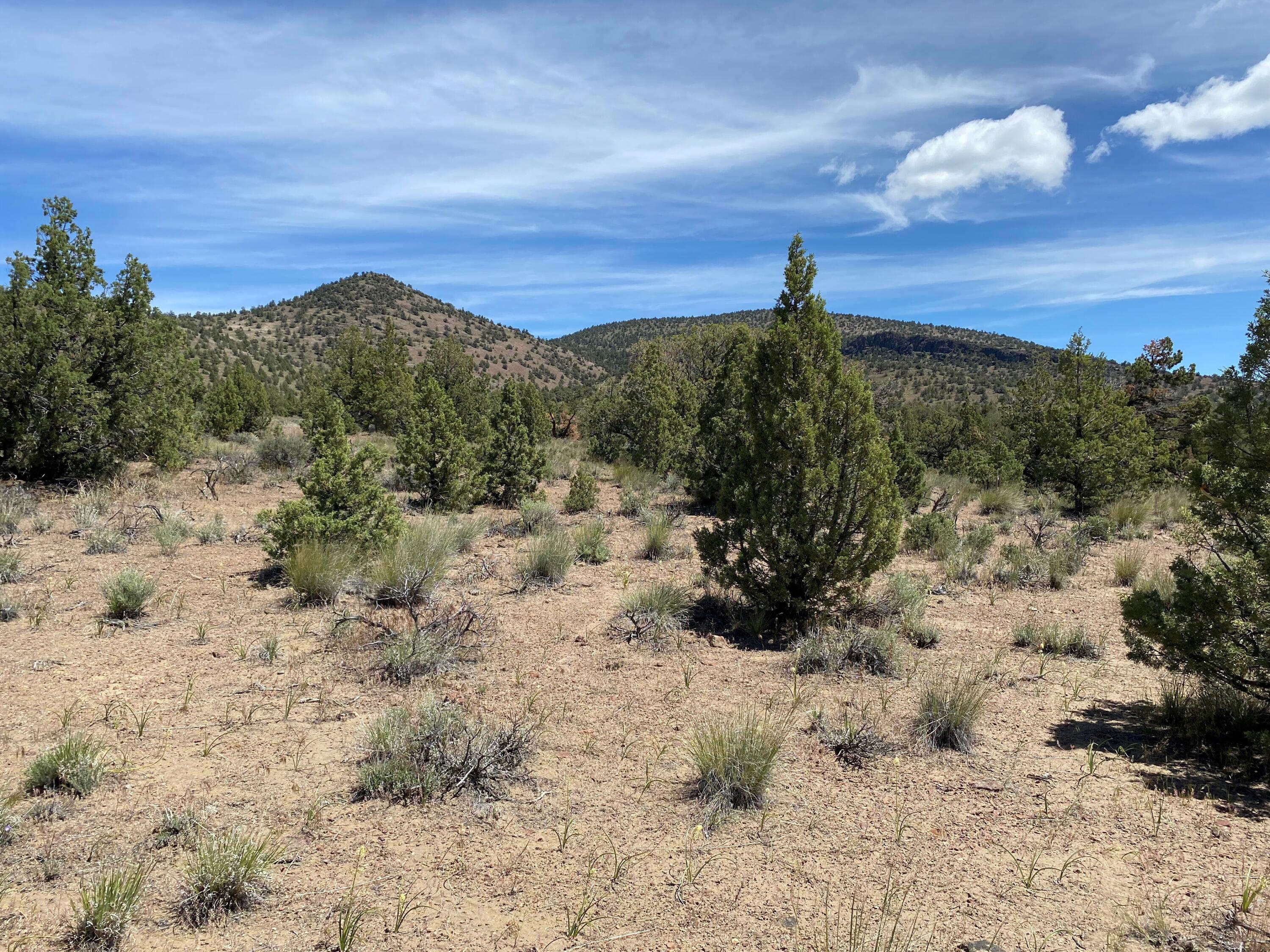 SW Spirit Rock Drive, Homesite 721