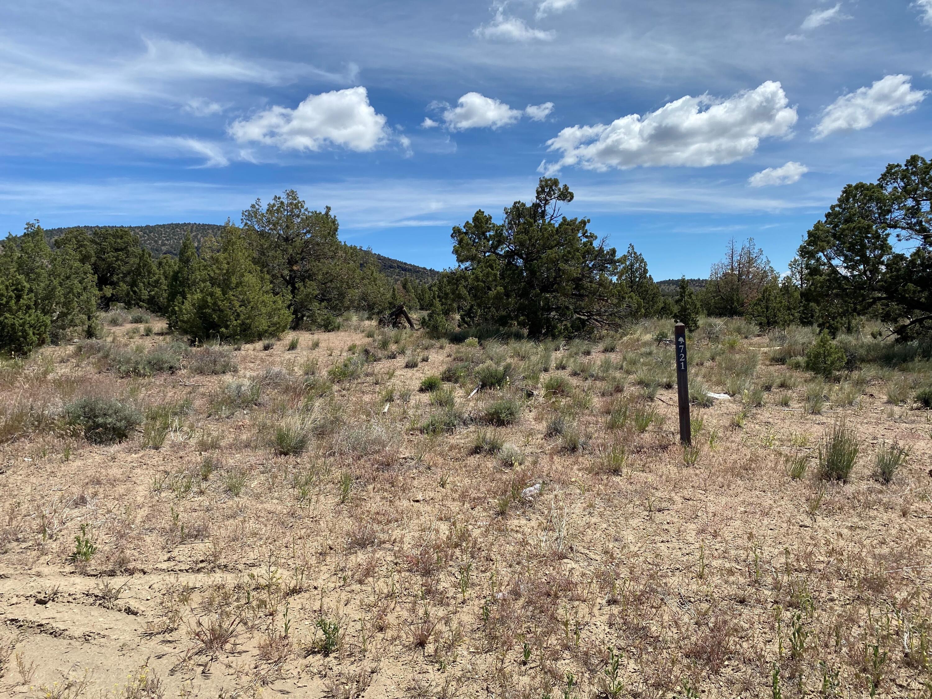 SW Spirit Rock Drive, Homesite 721