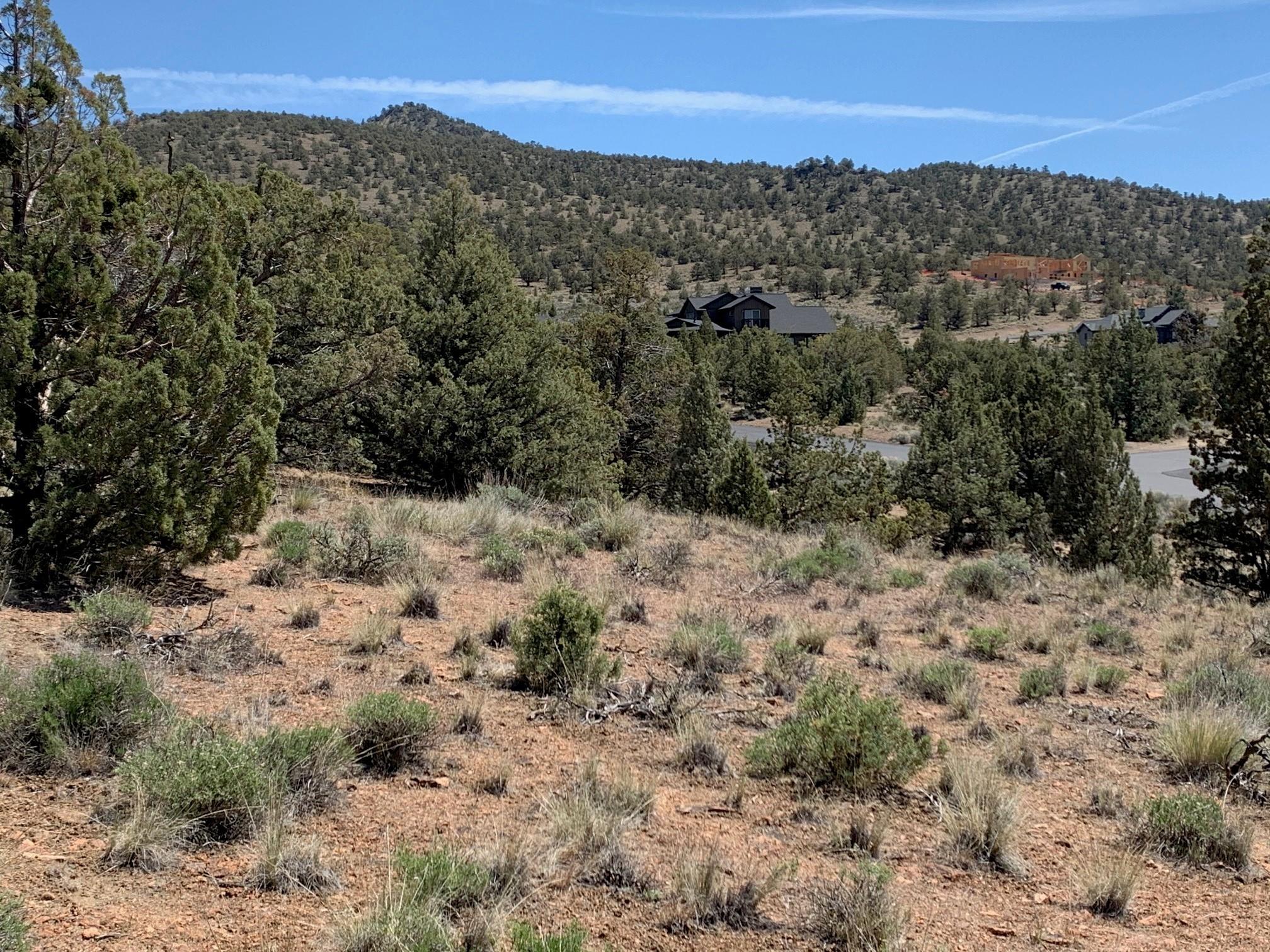 SW Hat Rock Loop, Homesite 177