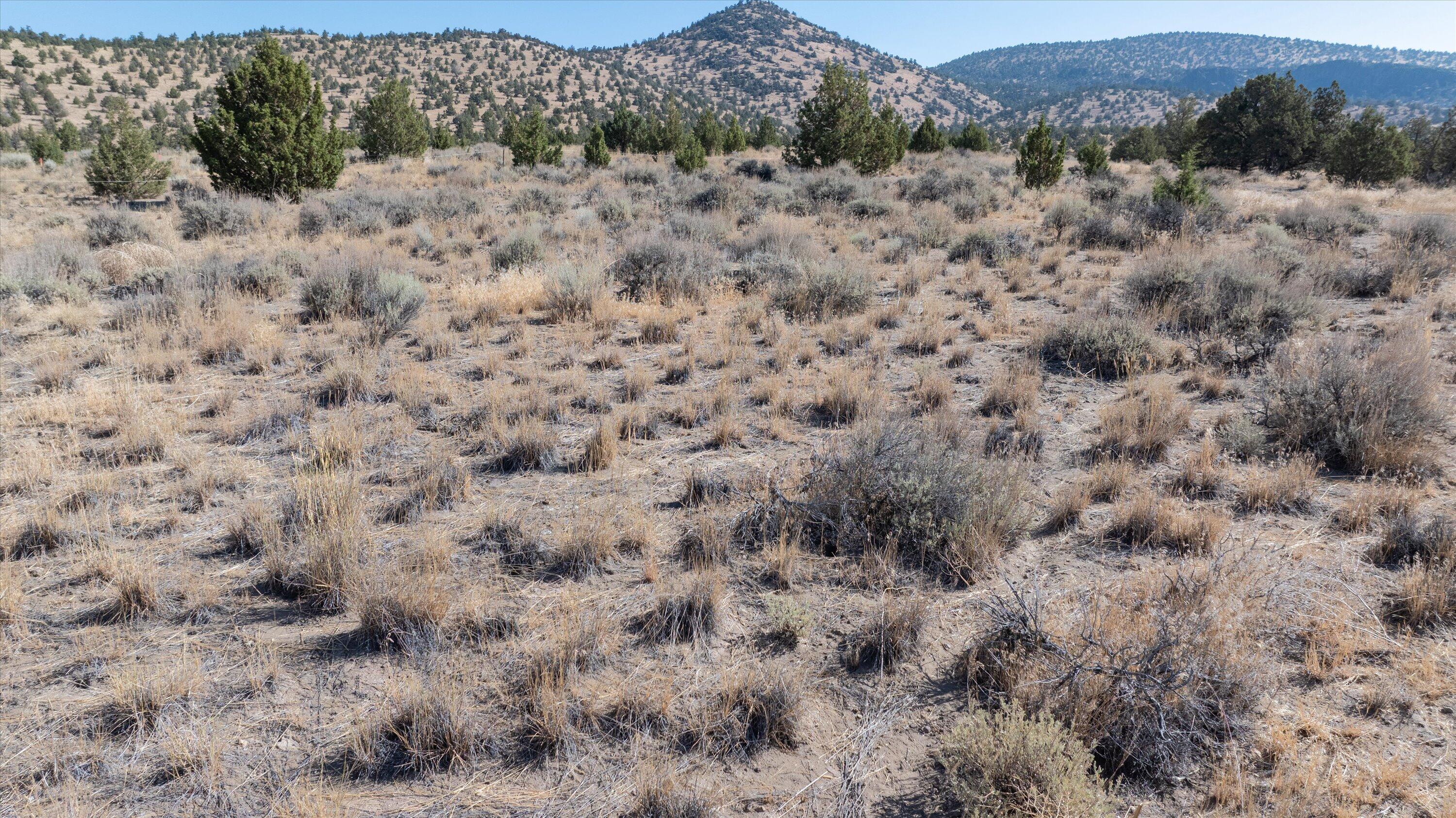 SW Spirit Rock Drive, Homesite 720