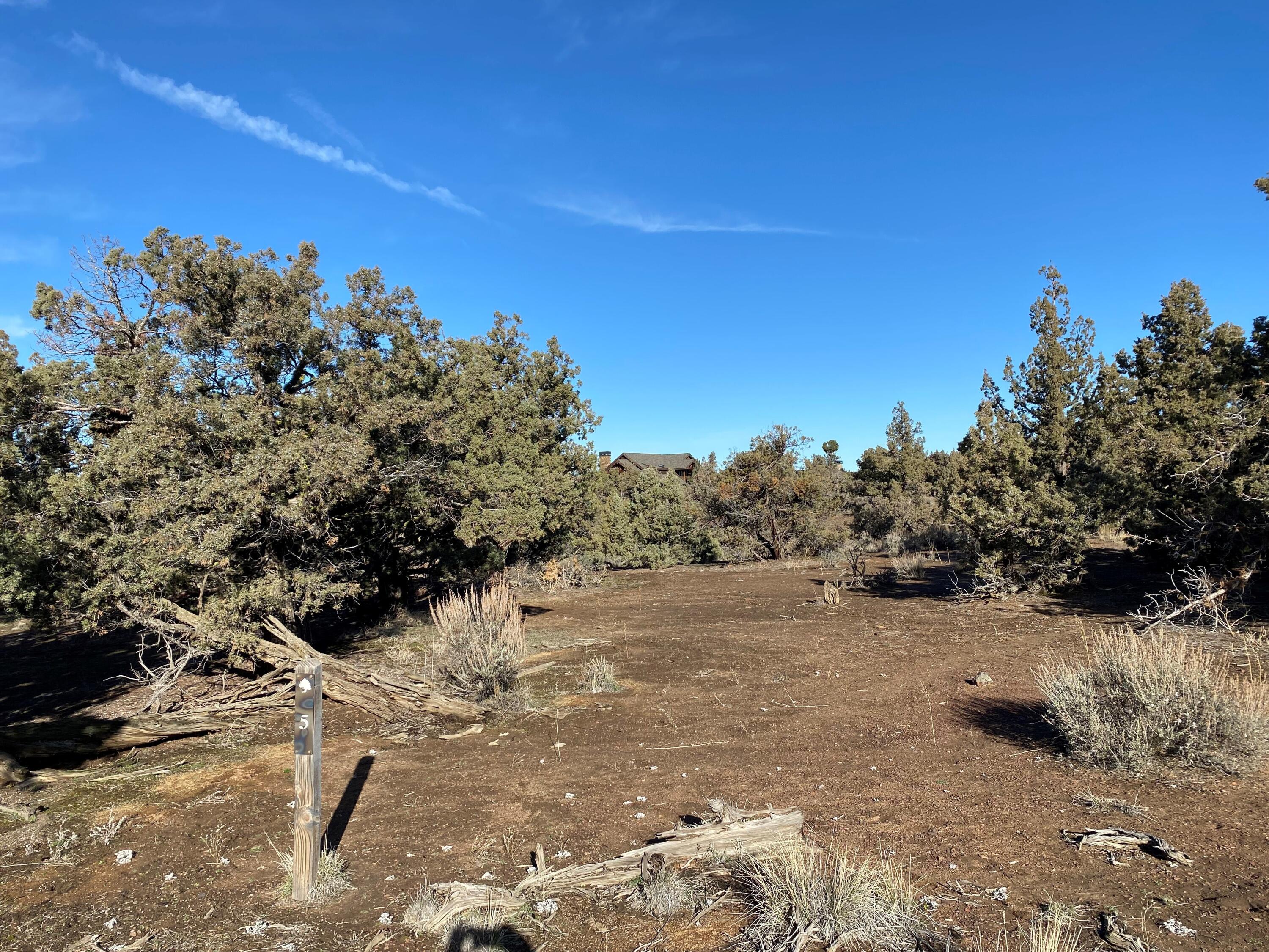 Vaqueros Way, Homesite 5