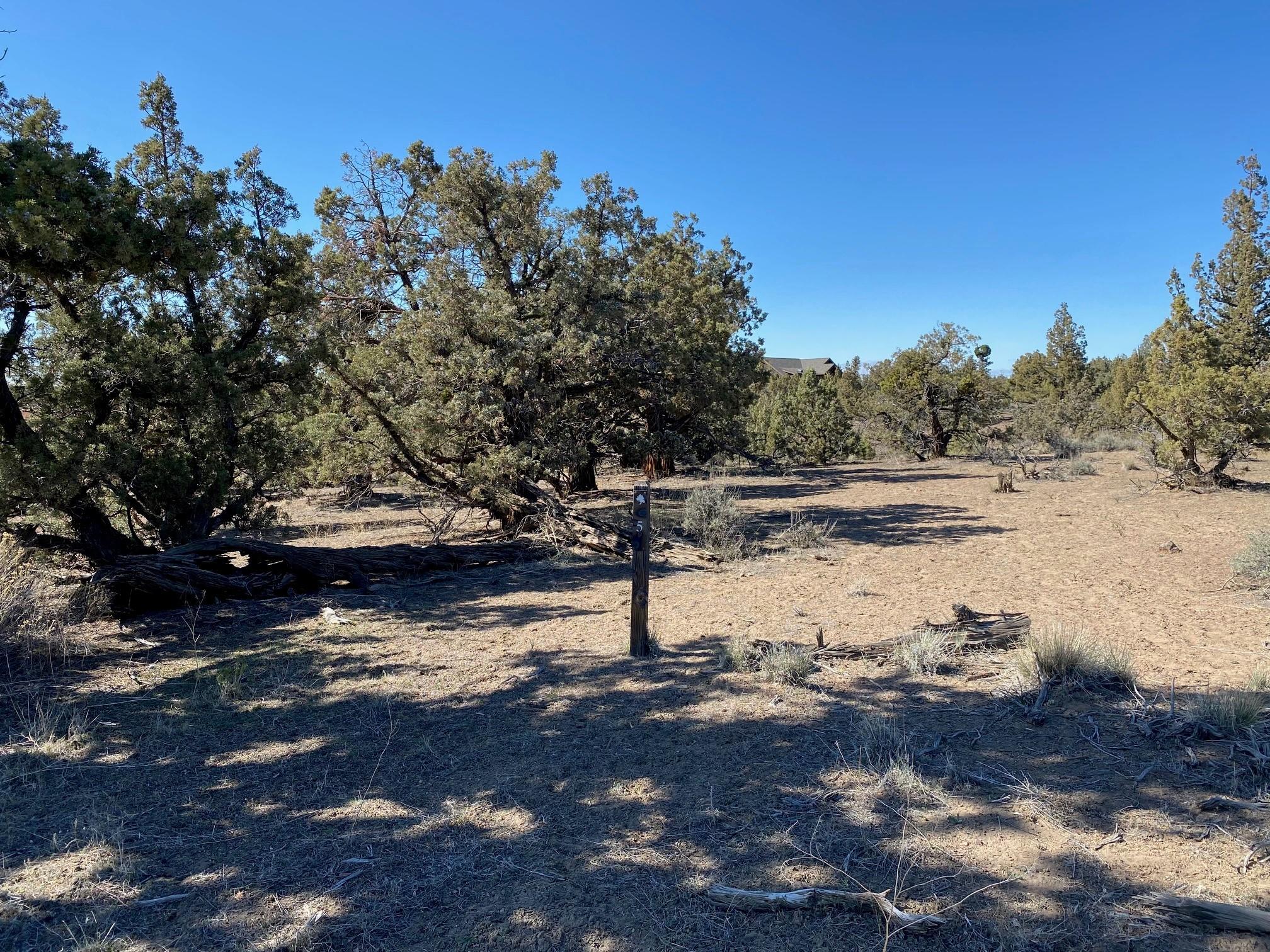 Vaqueros Way, Homesite 5