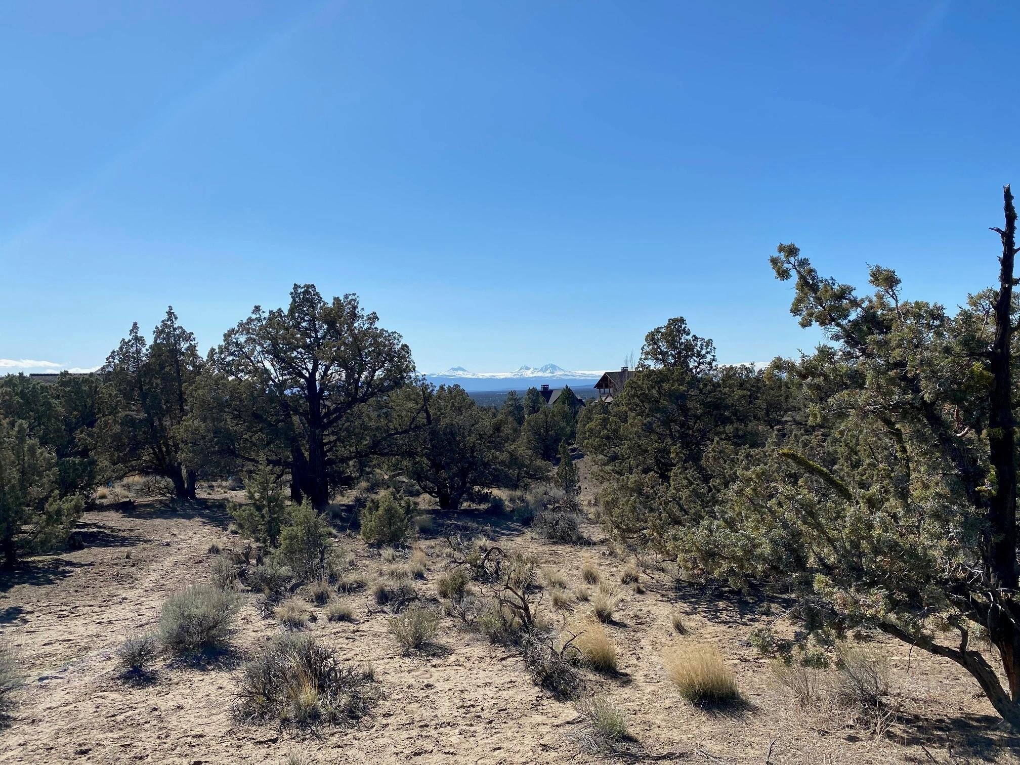 Vaqueros Way, Homesite 5