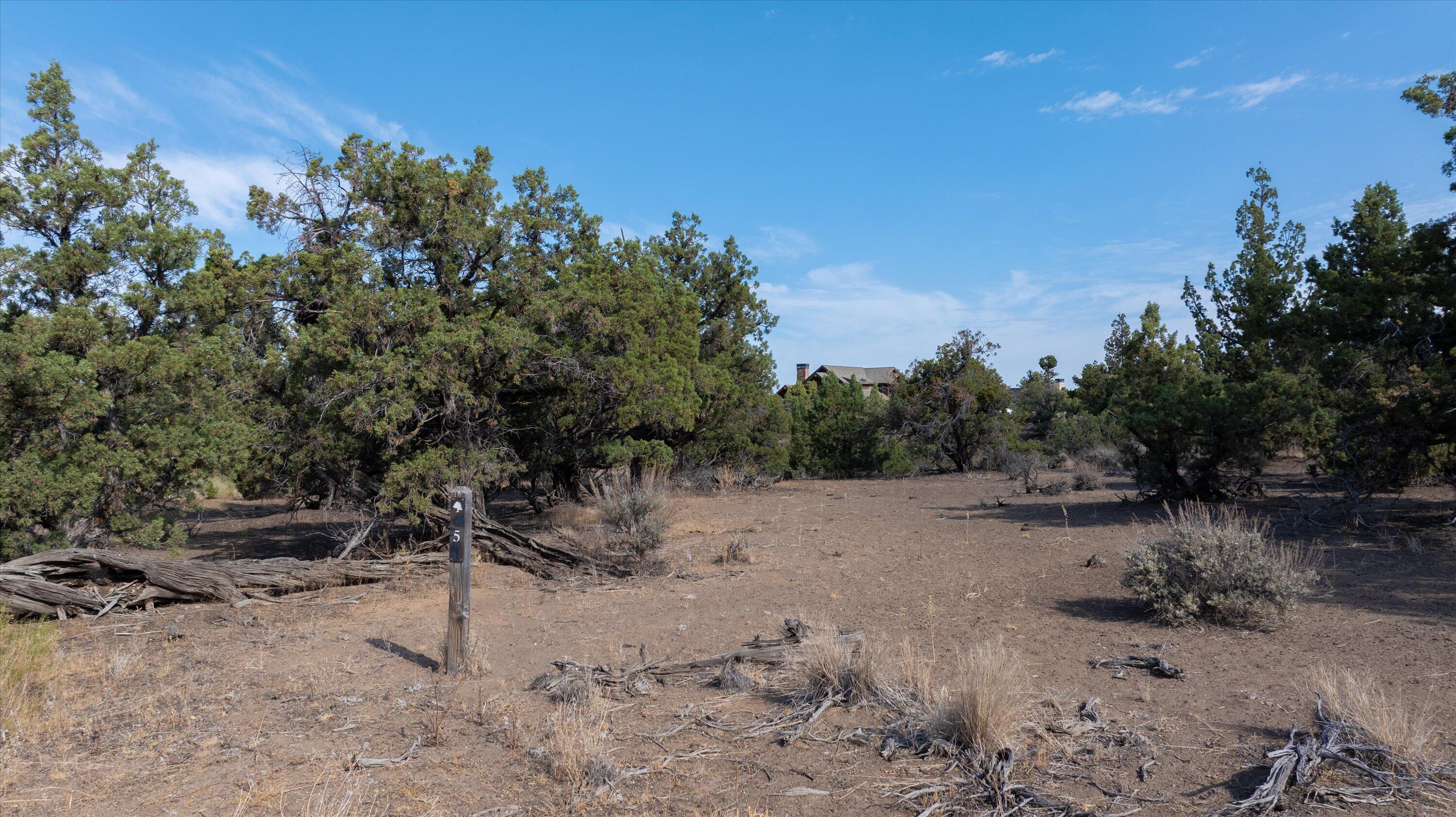 Vaqueros Way, Homesite 5