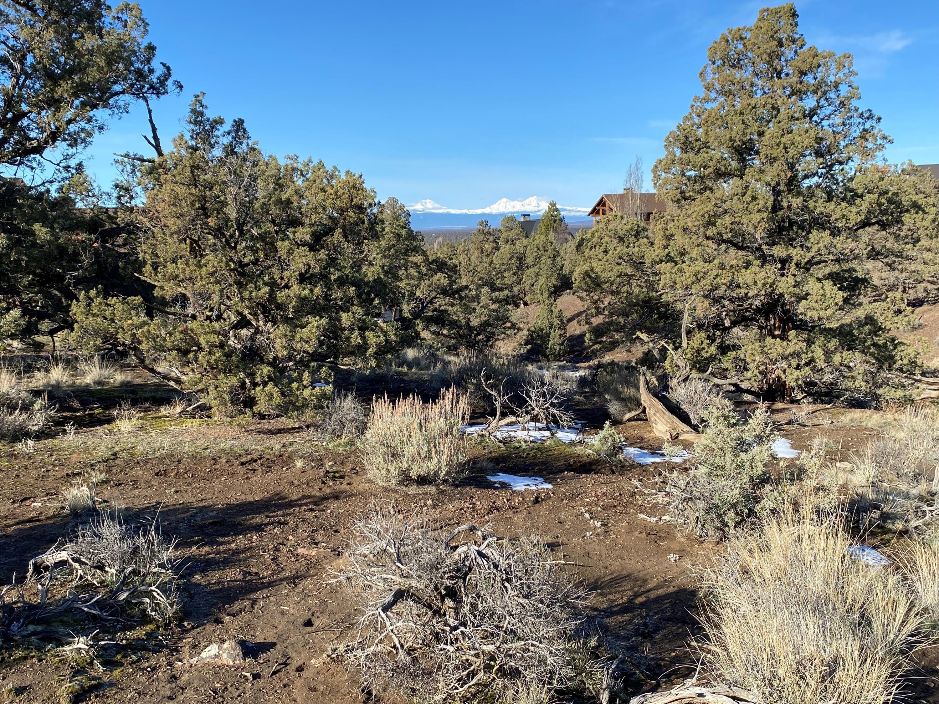 Vaqueros Way, Homesite 5