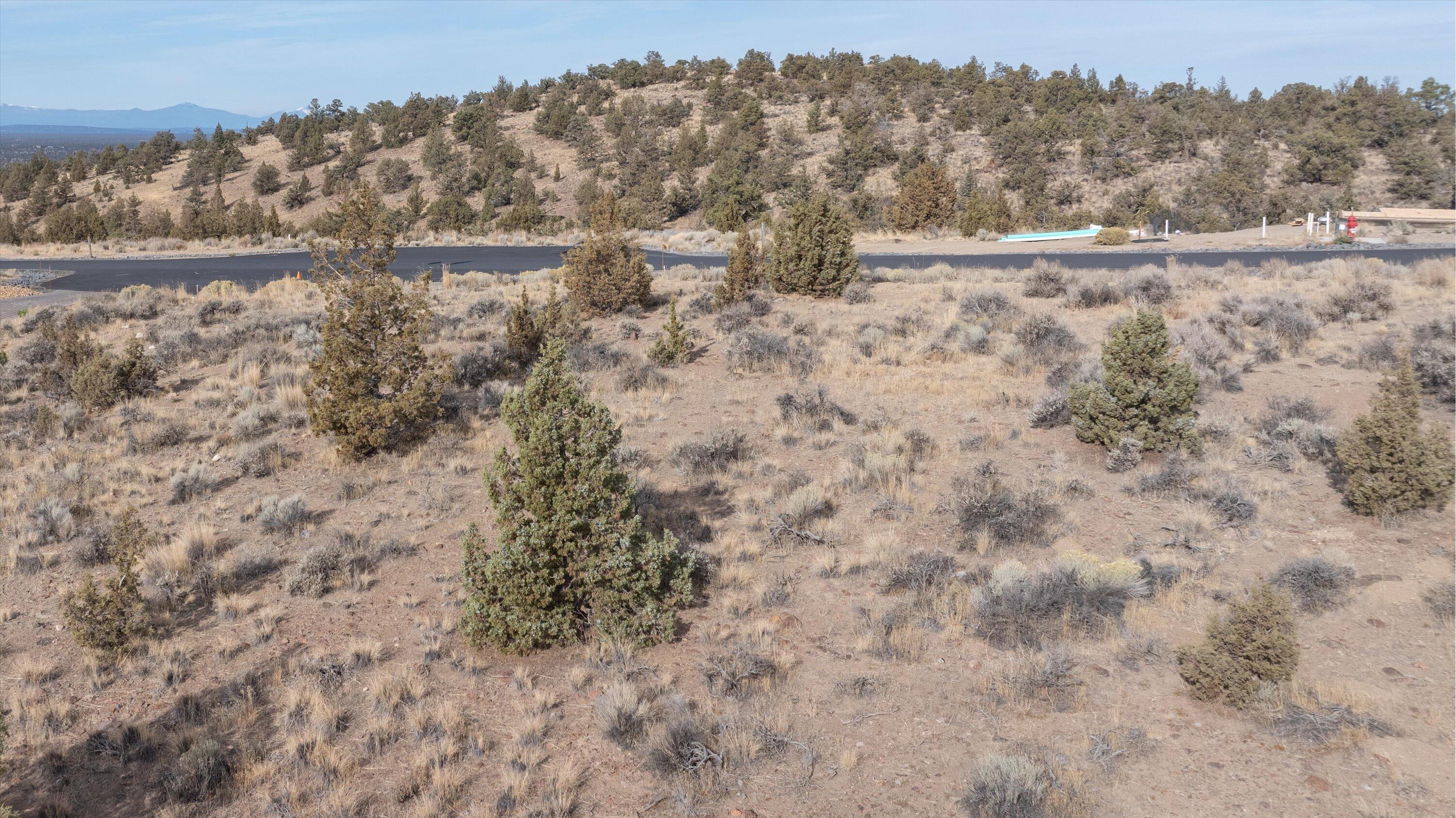 Pinnacle Court, Homesite 713