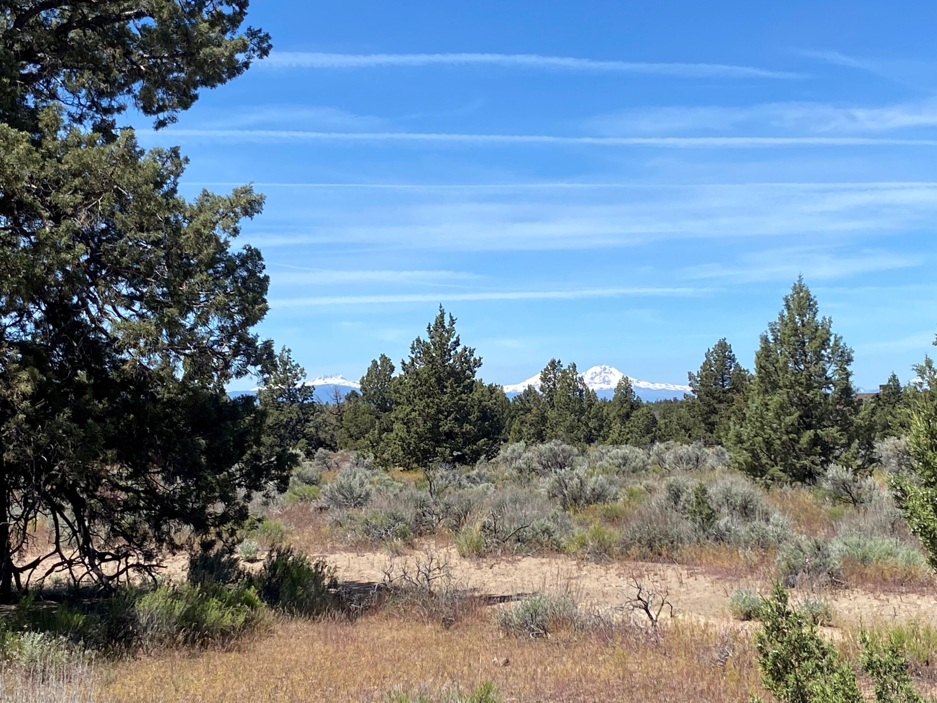 Chaparral Drive, Homesite 487