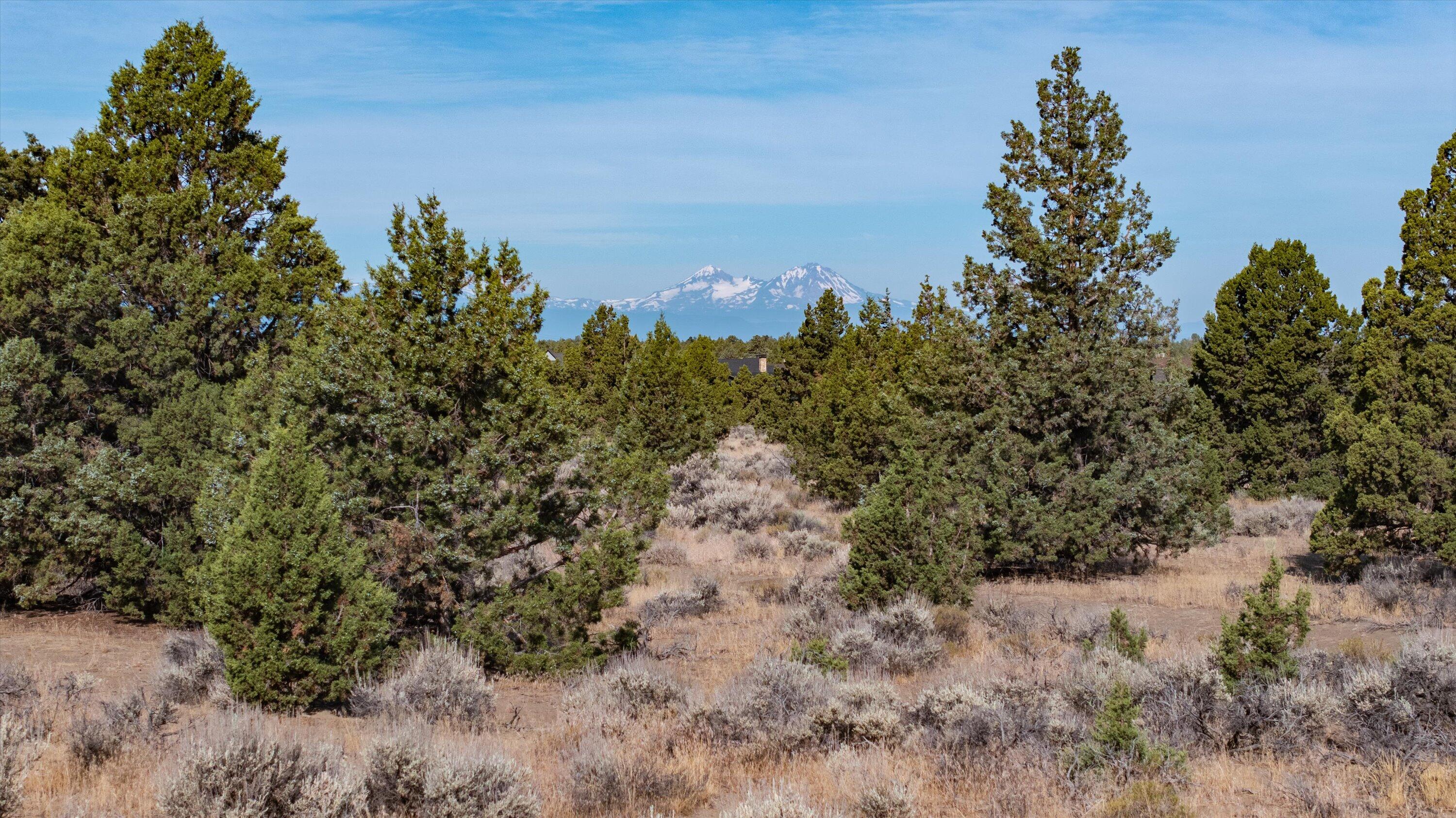 Chaparral Drive, Homesite 487