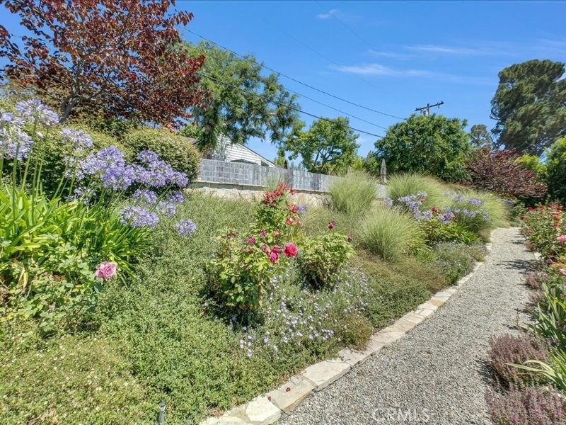 6 Williamsburg Lane