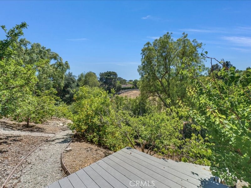6 Williamsburg Lane