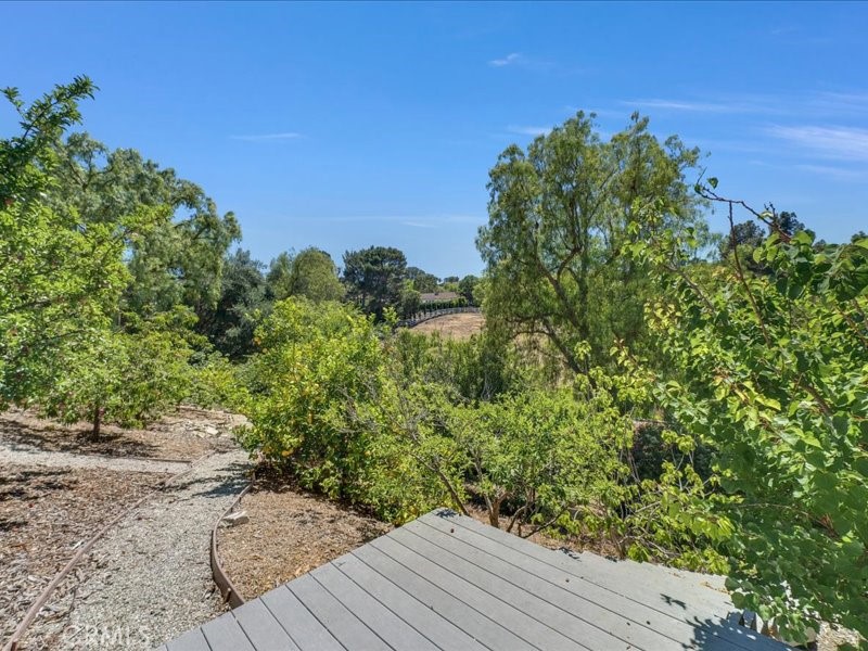 6 Williamsburg Lane