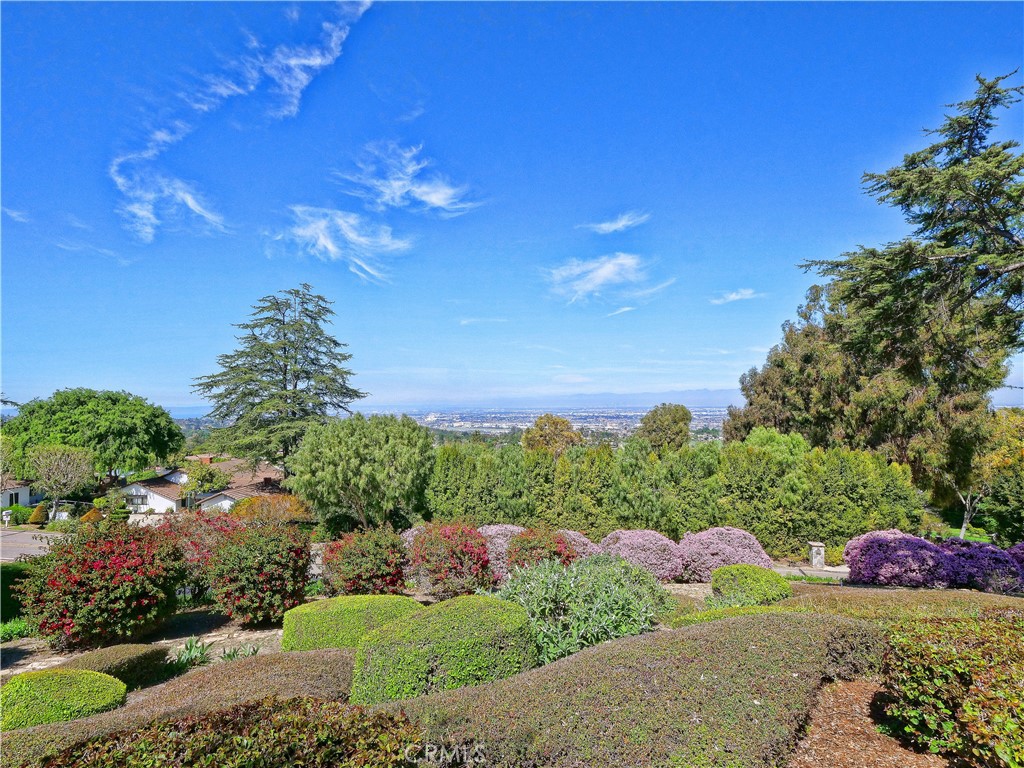 57 Saddleback
