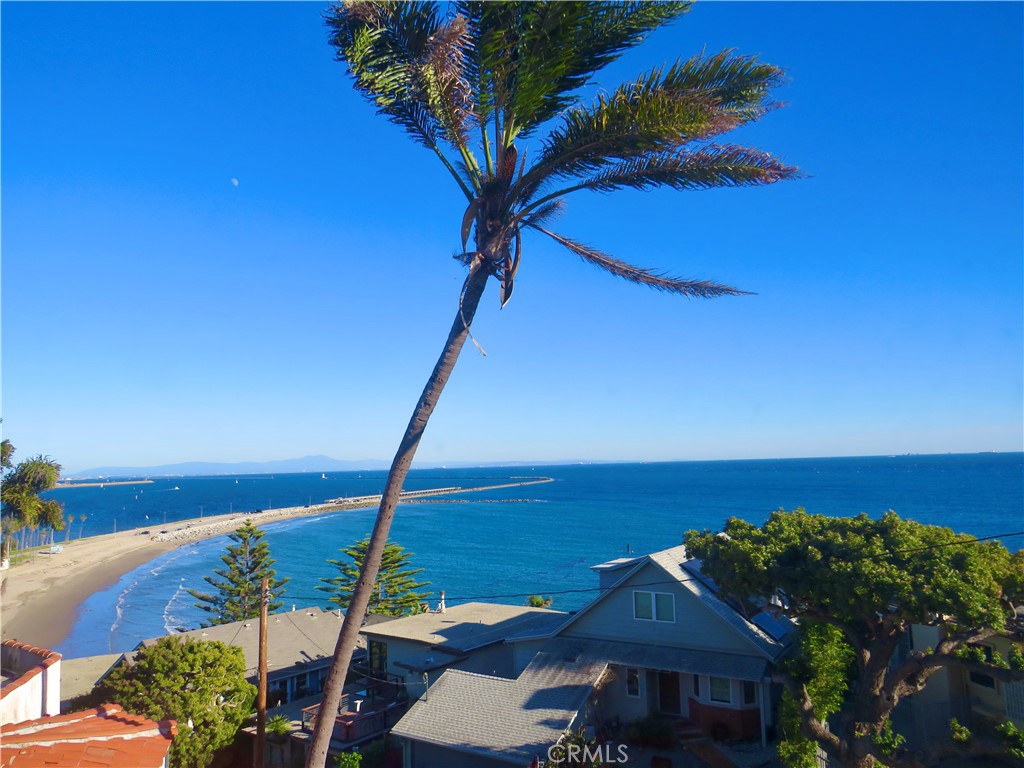 3935 Bluff