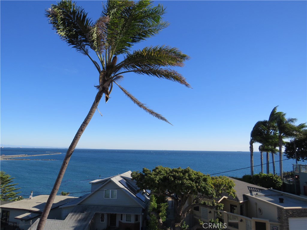 3935 Bluff