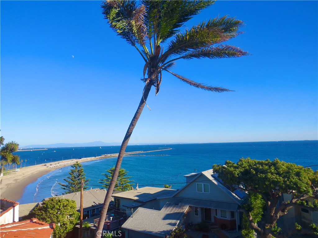 3935 Bluff