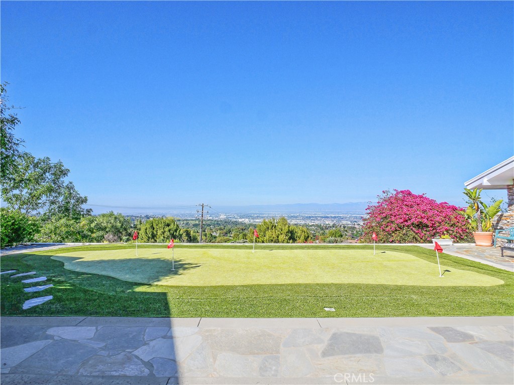 49 Saddleback