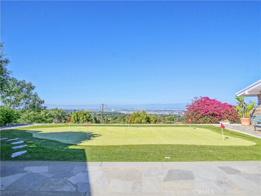 49 Saddleback