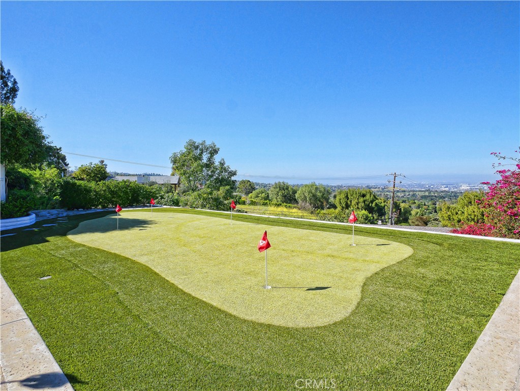 49 Saddleback