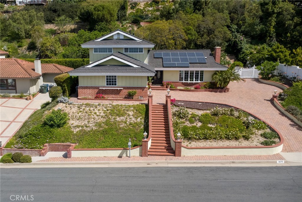 3675 Vigilance