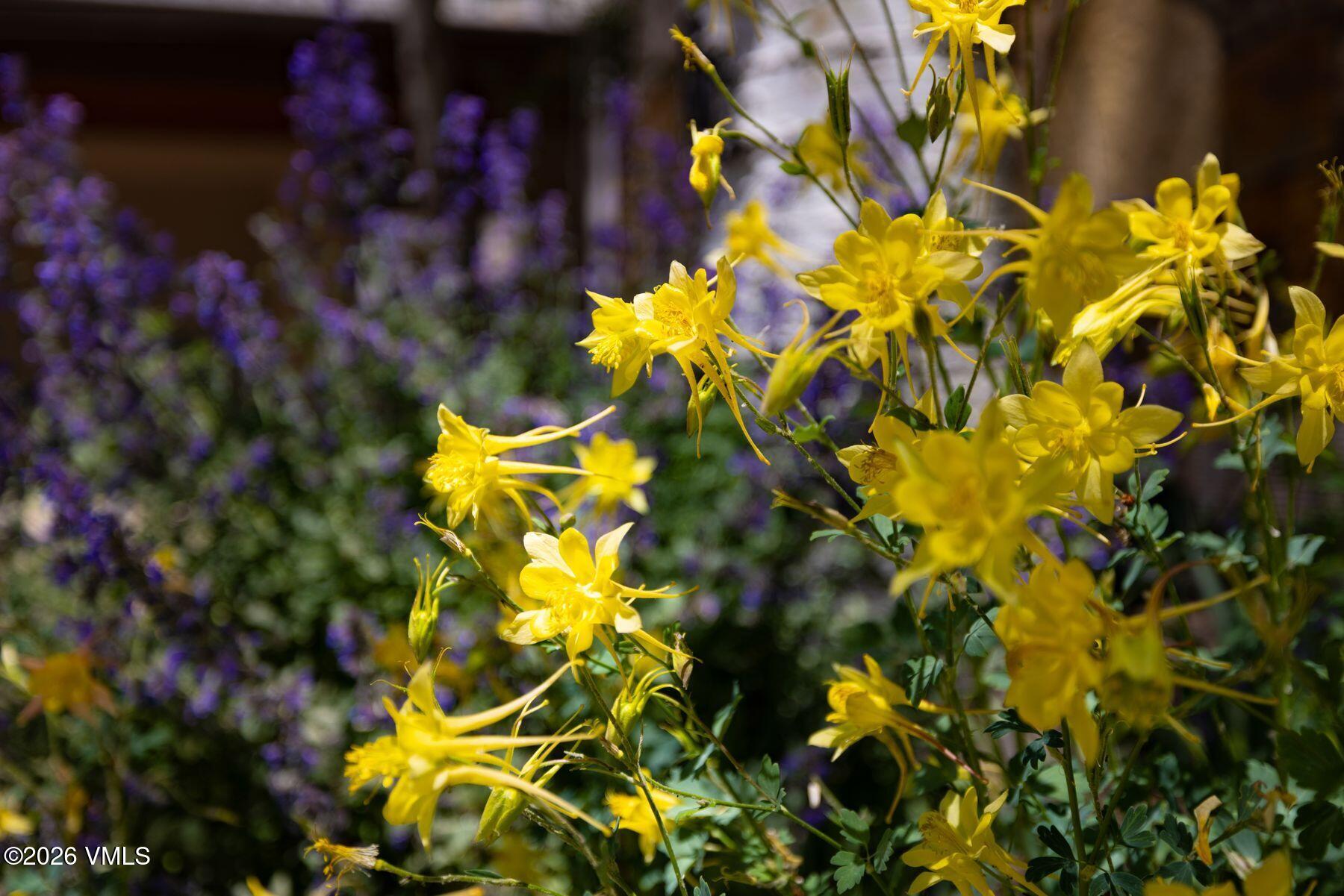 1360 Westhaven Drive 4D