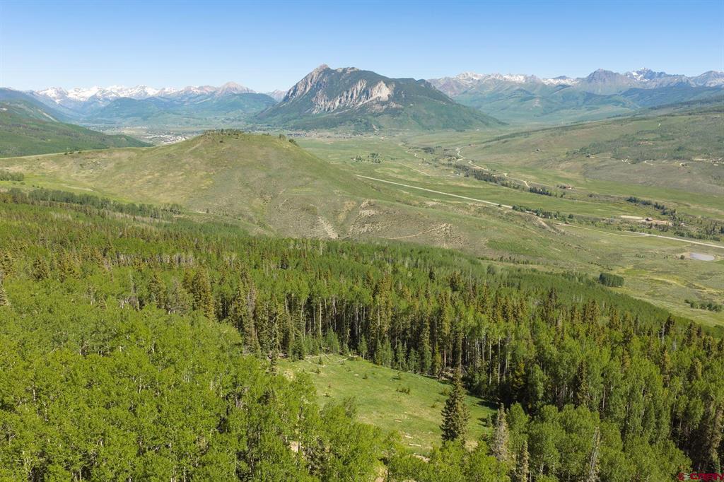 141 White Buffalo Trail Crested Butte CO