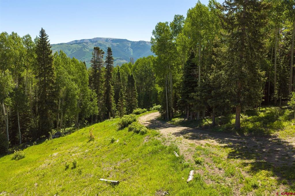 141 White Buffalo Trail