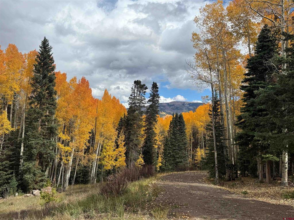 141 White Buffalo Trail