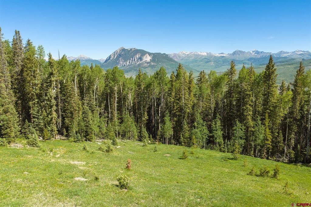141 White Buffalo Trail