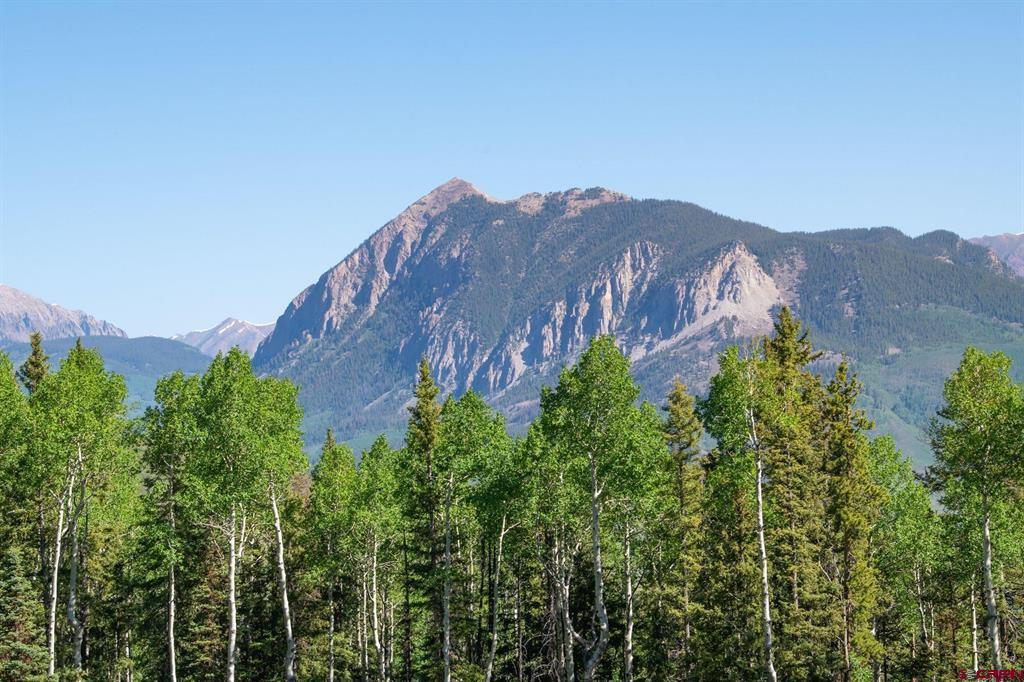 141 White Buffalo Trail