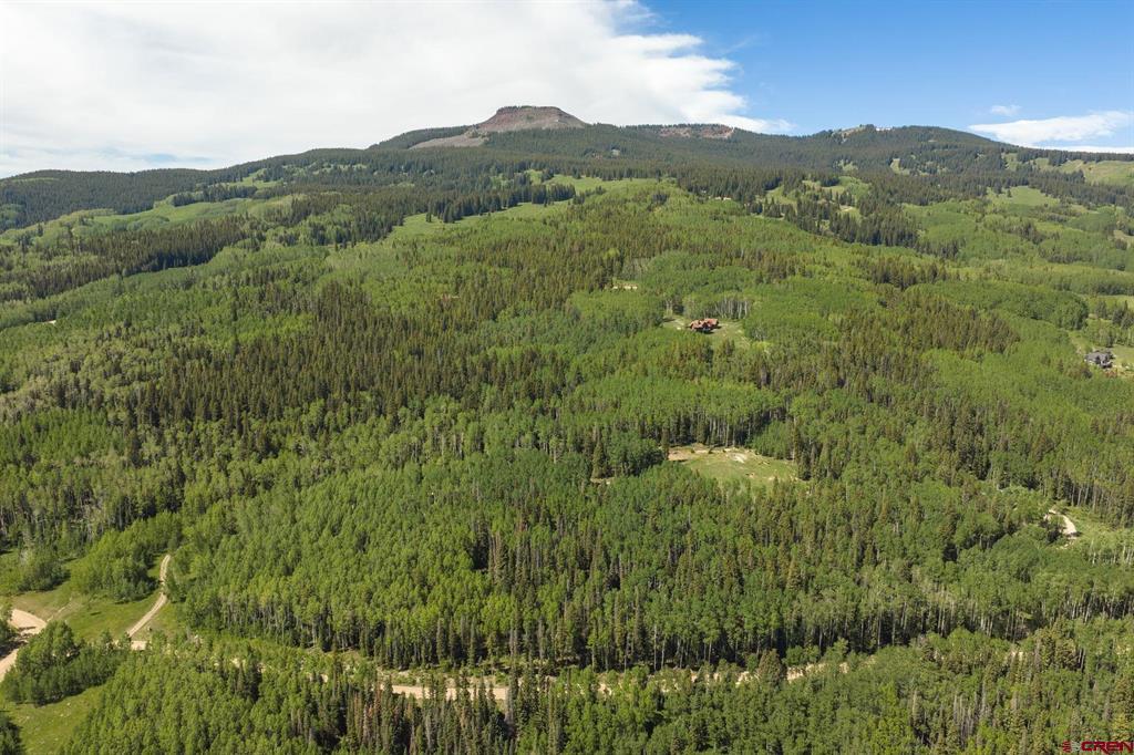 141 White Buffalo Trail