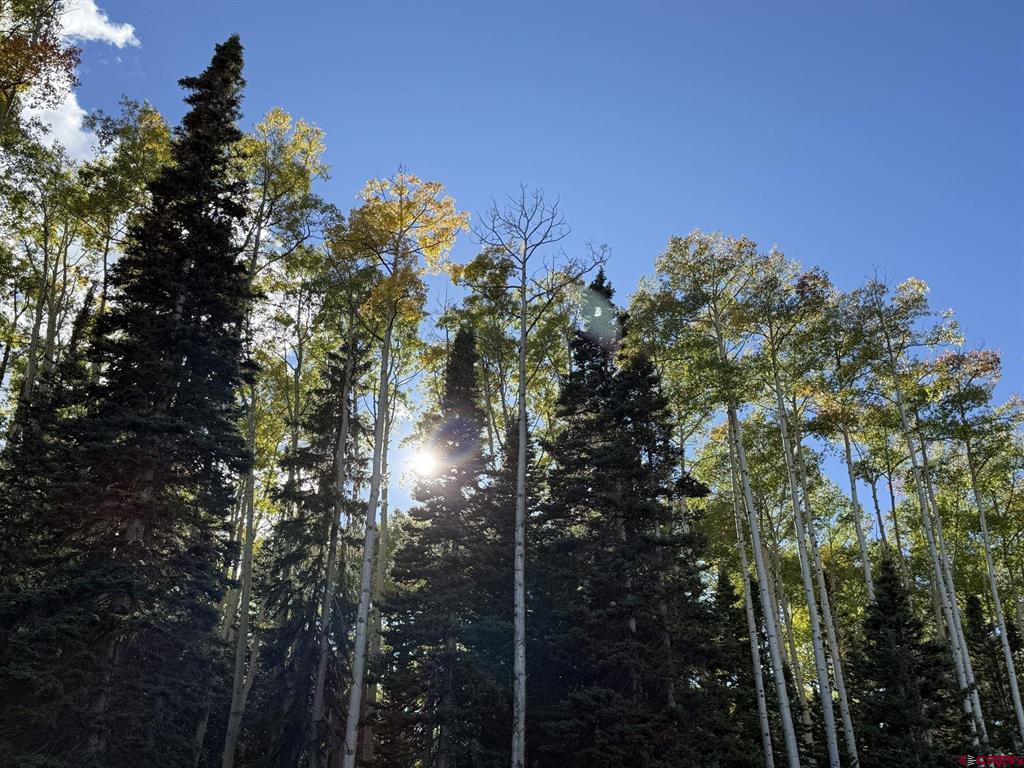 141 White Buffalo Trail