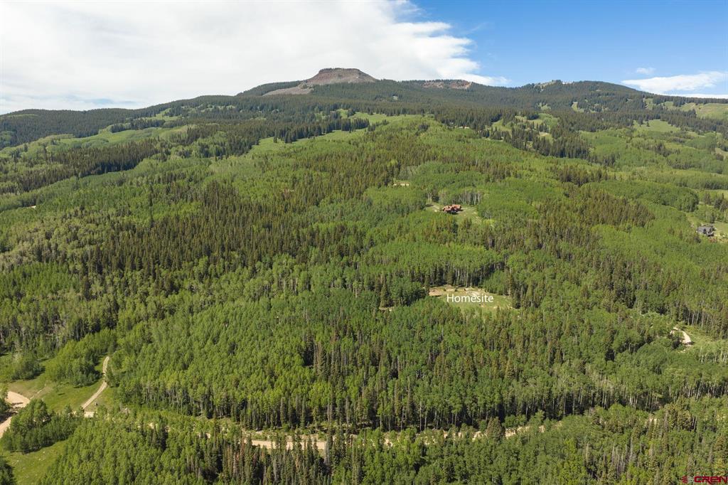 141 White Buffalo Trail