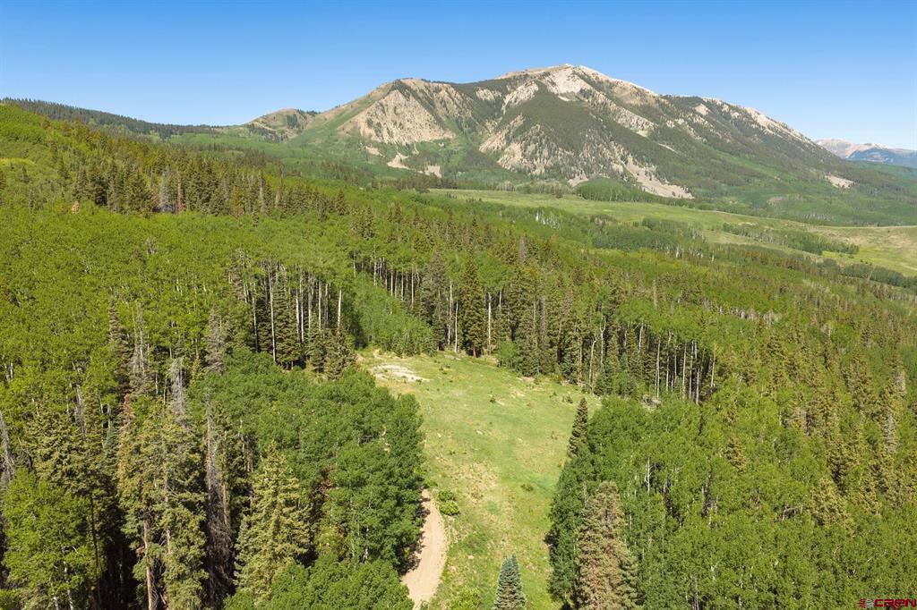 141 White Buffalo Trail