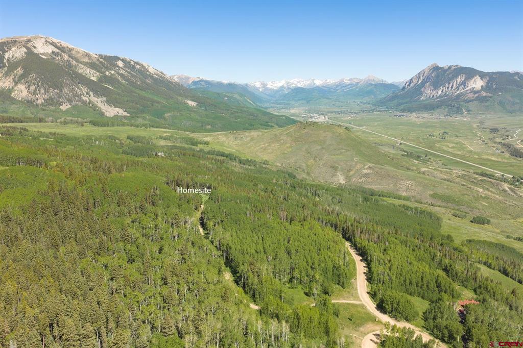 141 White Buffalo Trail